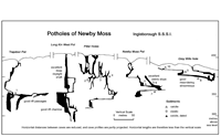 EN SSSI 2002 Newby Moss